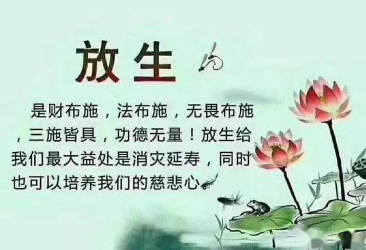 放生功德利益太大,经常放生, 这二十件事让你如愿!_众生_布施_生命