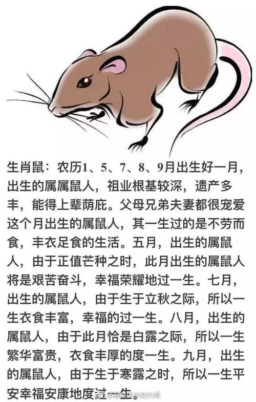 属兔人几月出生更好命运属牛人最苦命出生月份