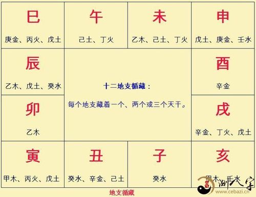 再谈八字排盘案例详细说明(三)轻轻松松排出来地支藏干