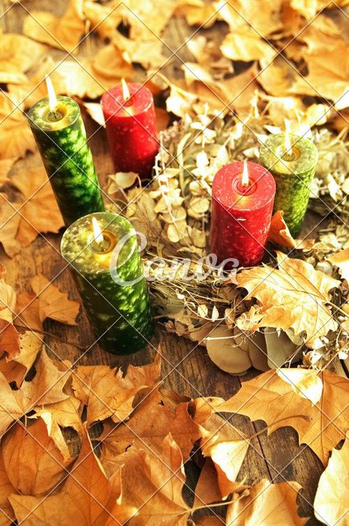 秋天树叶安排蜡烛秋季桉树尤加利垂直烛光伐木图片