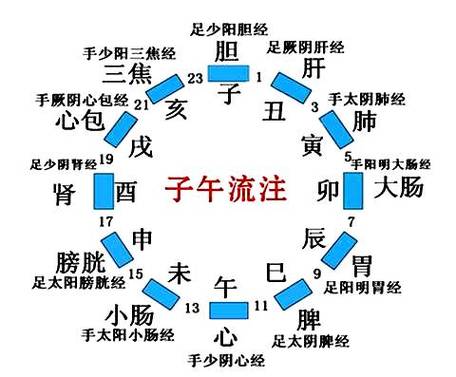 人有十二经脉,不同时辰气血循行至不同经脉,什么时辰您该吃饭,什么